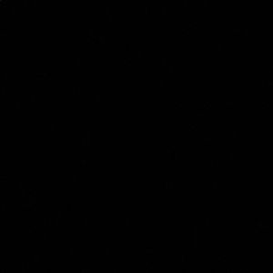 Meet your Posher, Hana